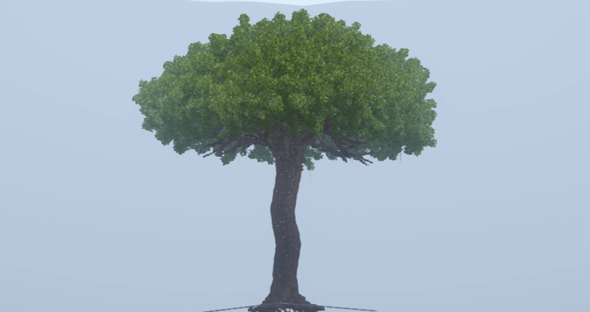 Giant Tree