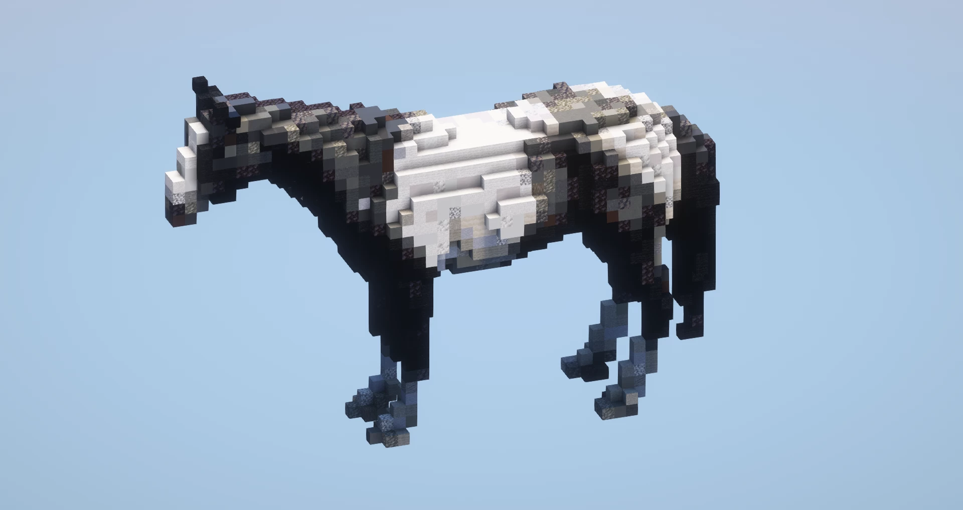 Black and White horse small