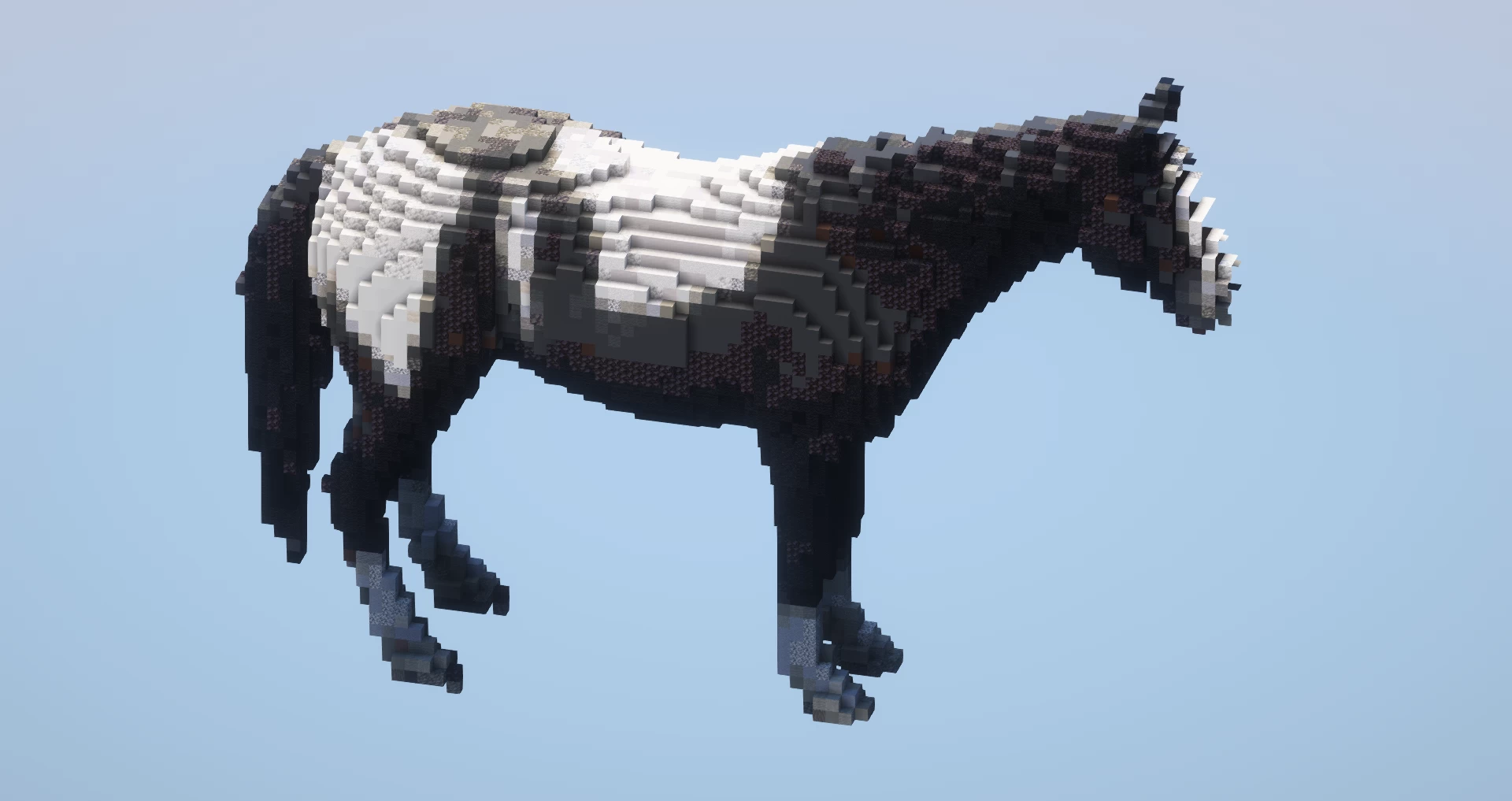 Black and White Horse