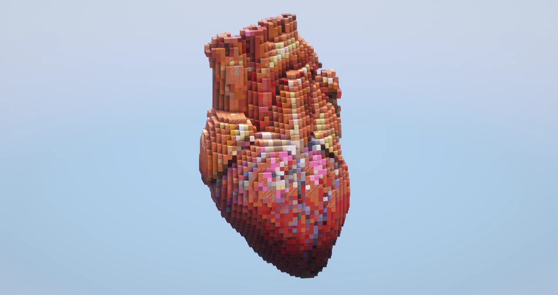 Human heart