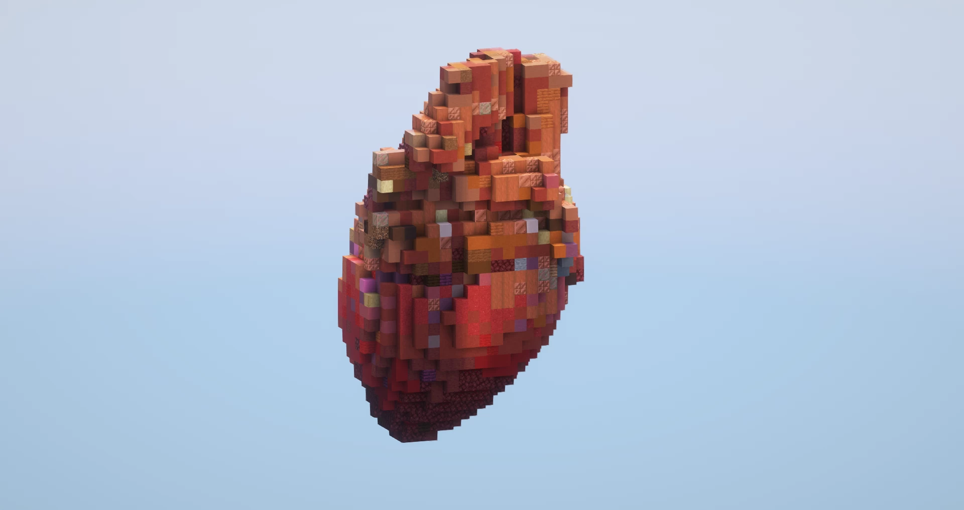 Human heart small