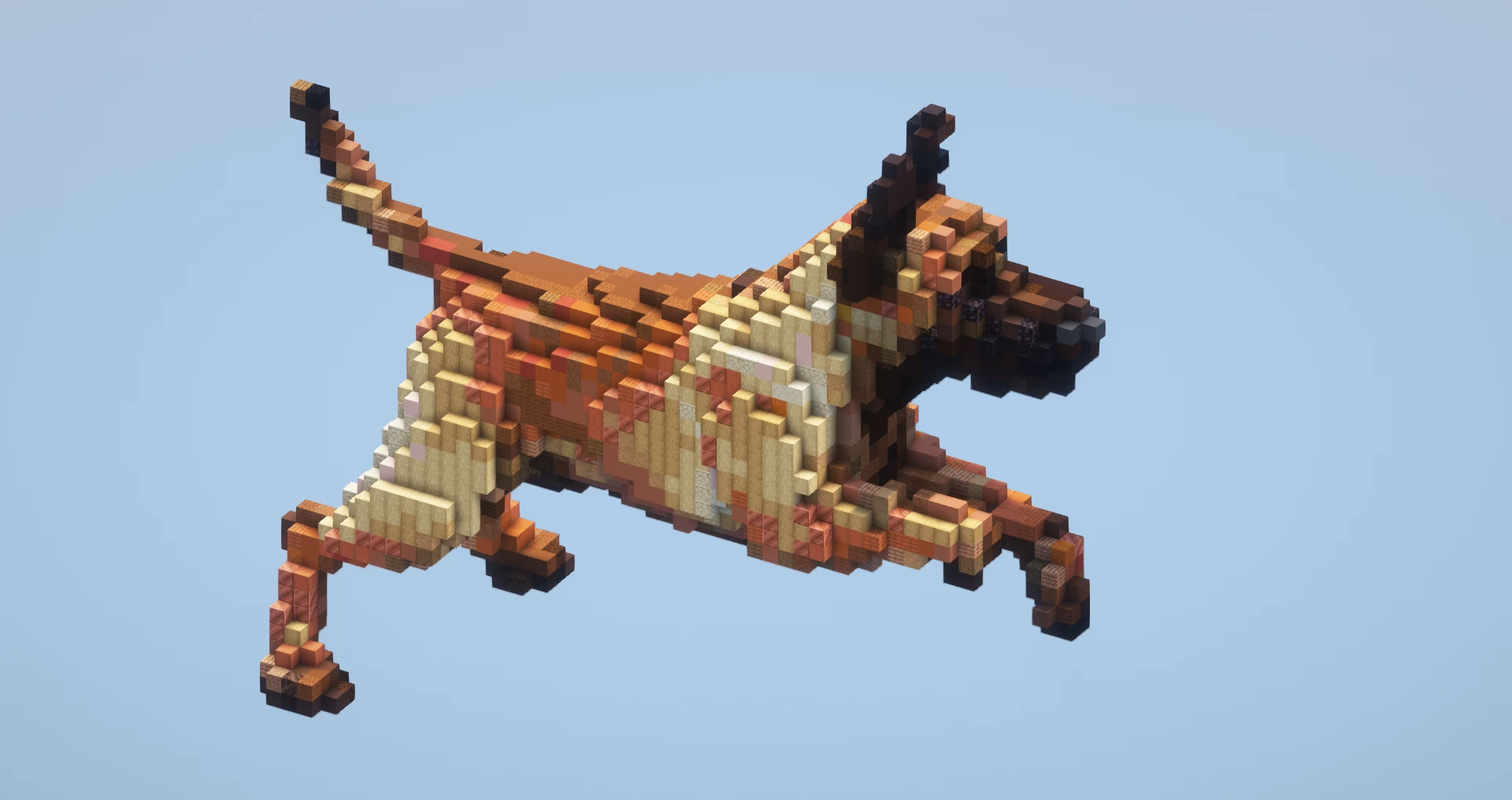 Shepherd Dog