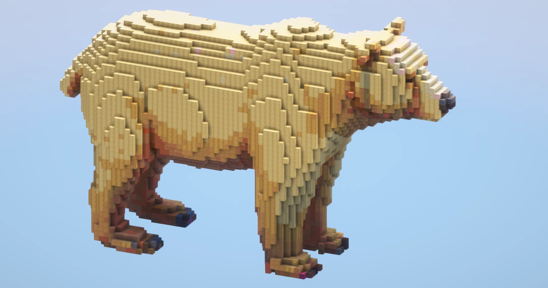 Bear