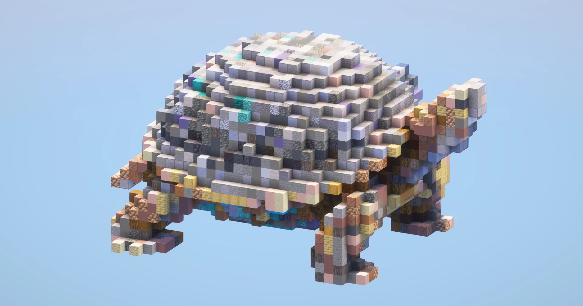 Tortoise‎