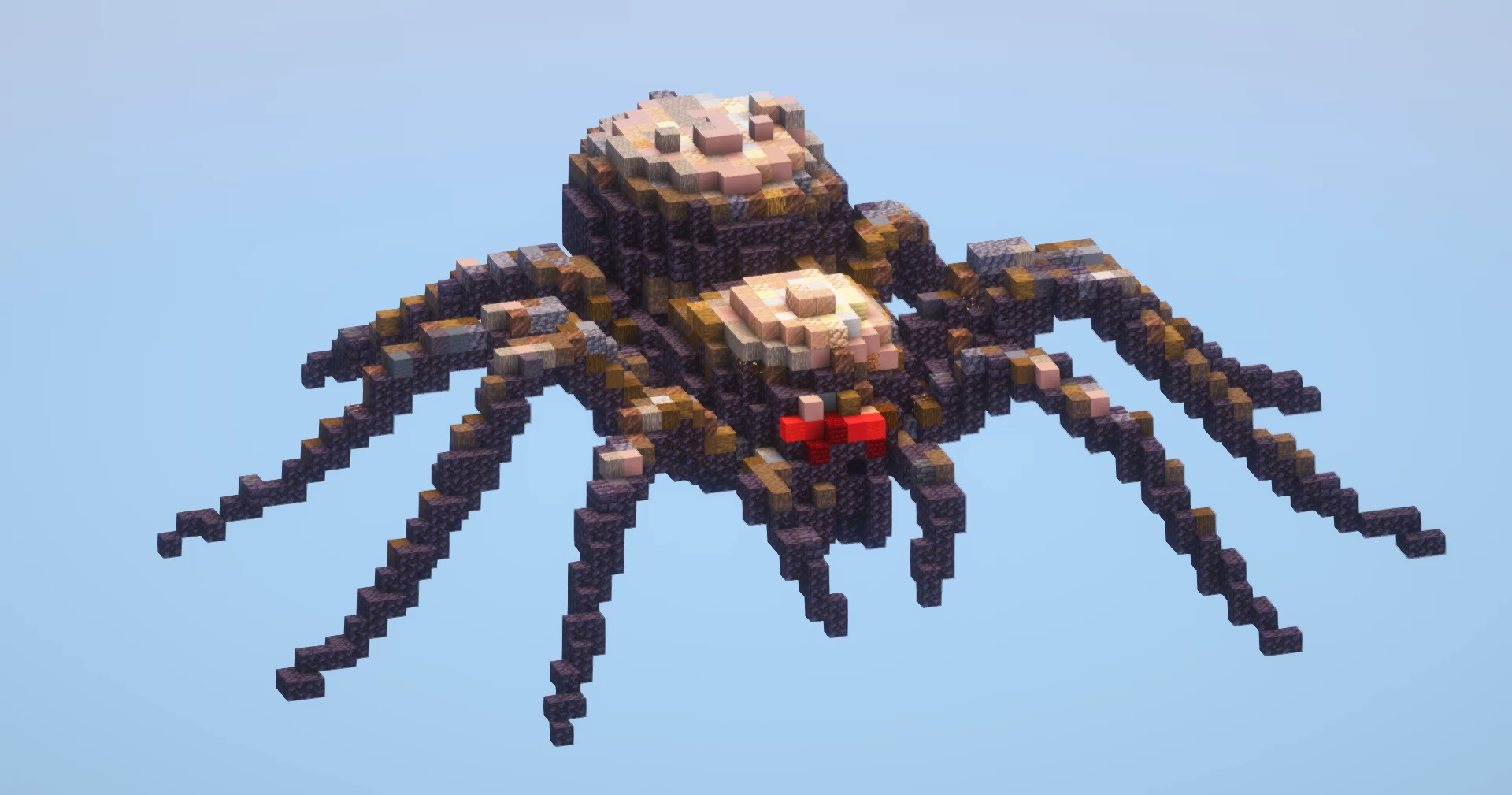Spider Small‎