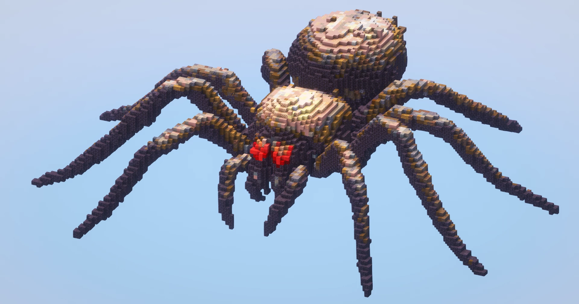 Spider‎