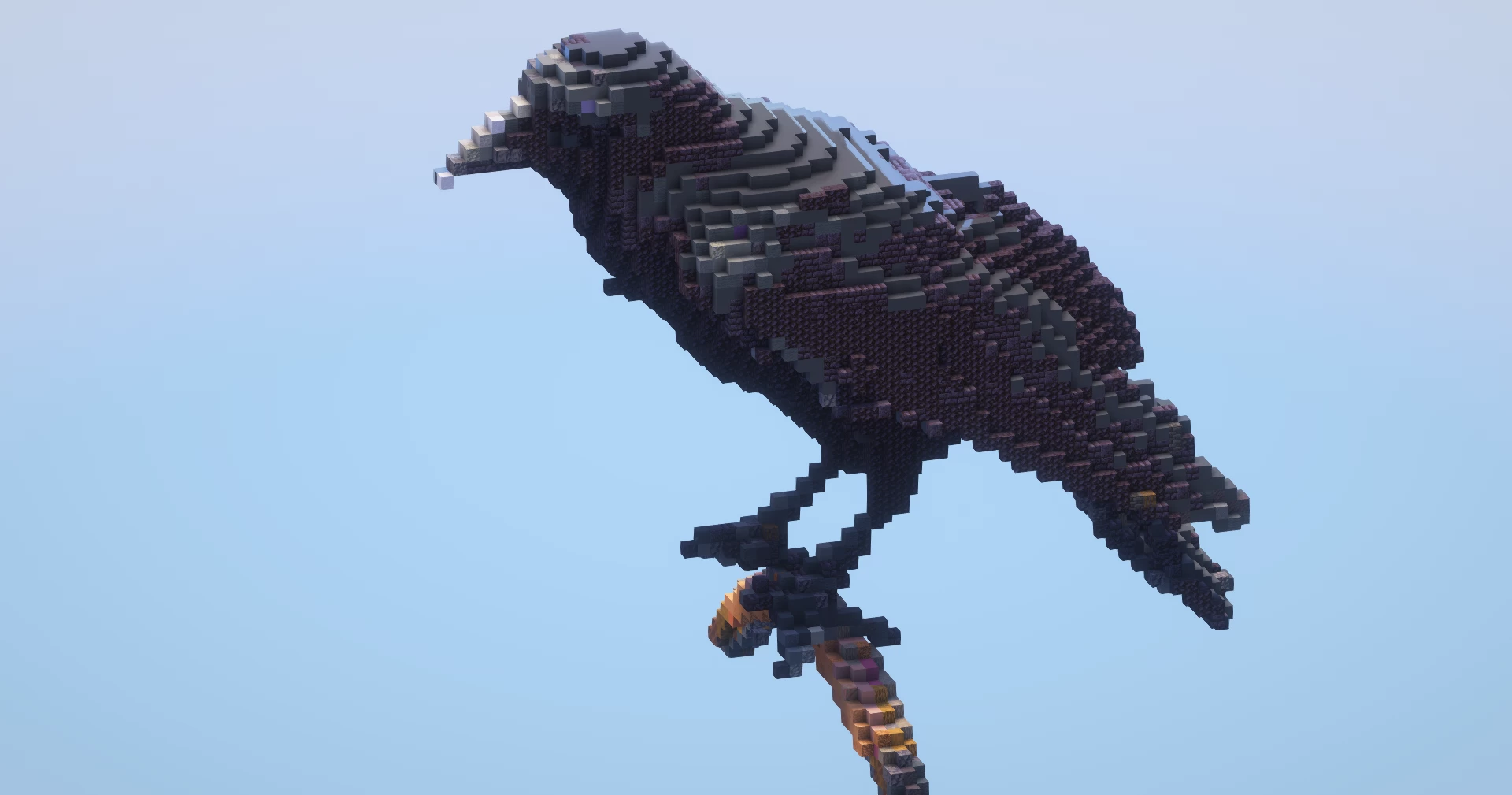 Raven‎