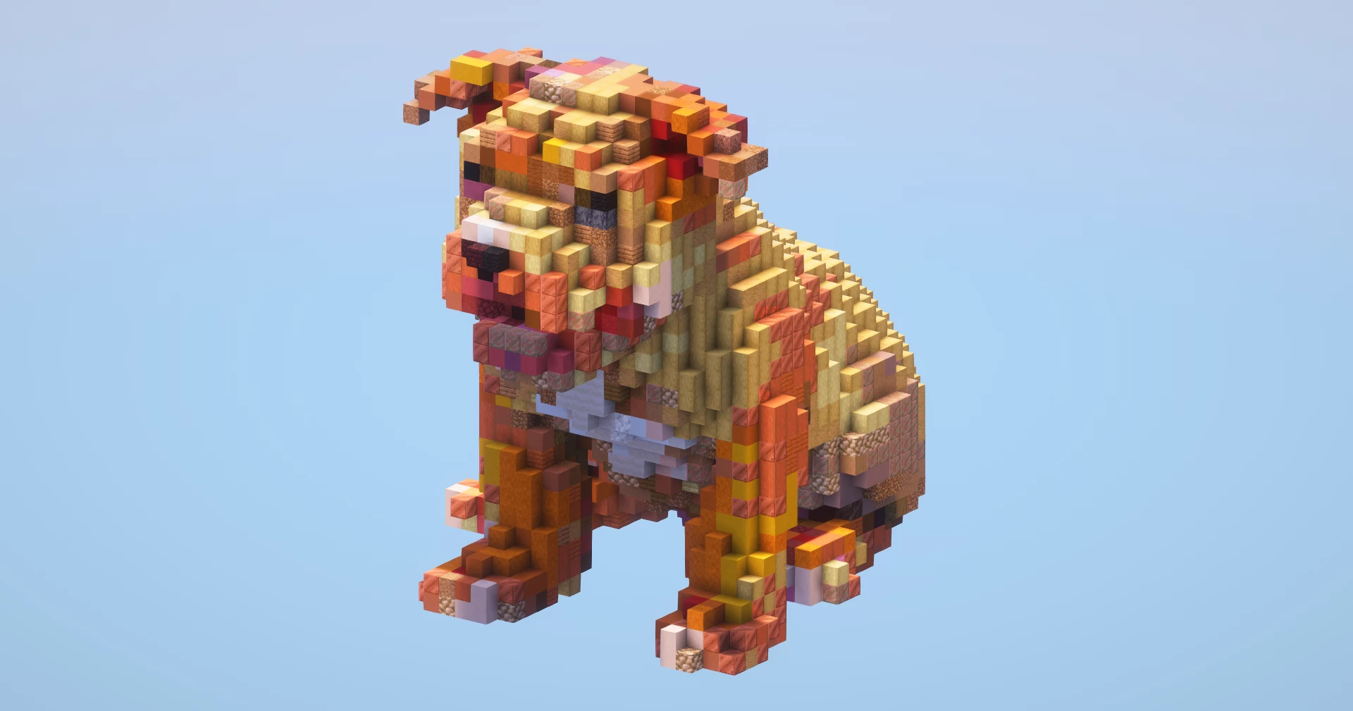Pitbull small‎
