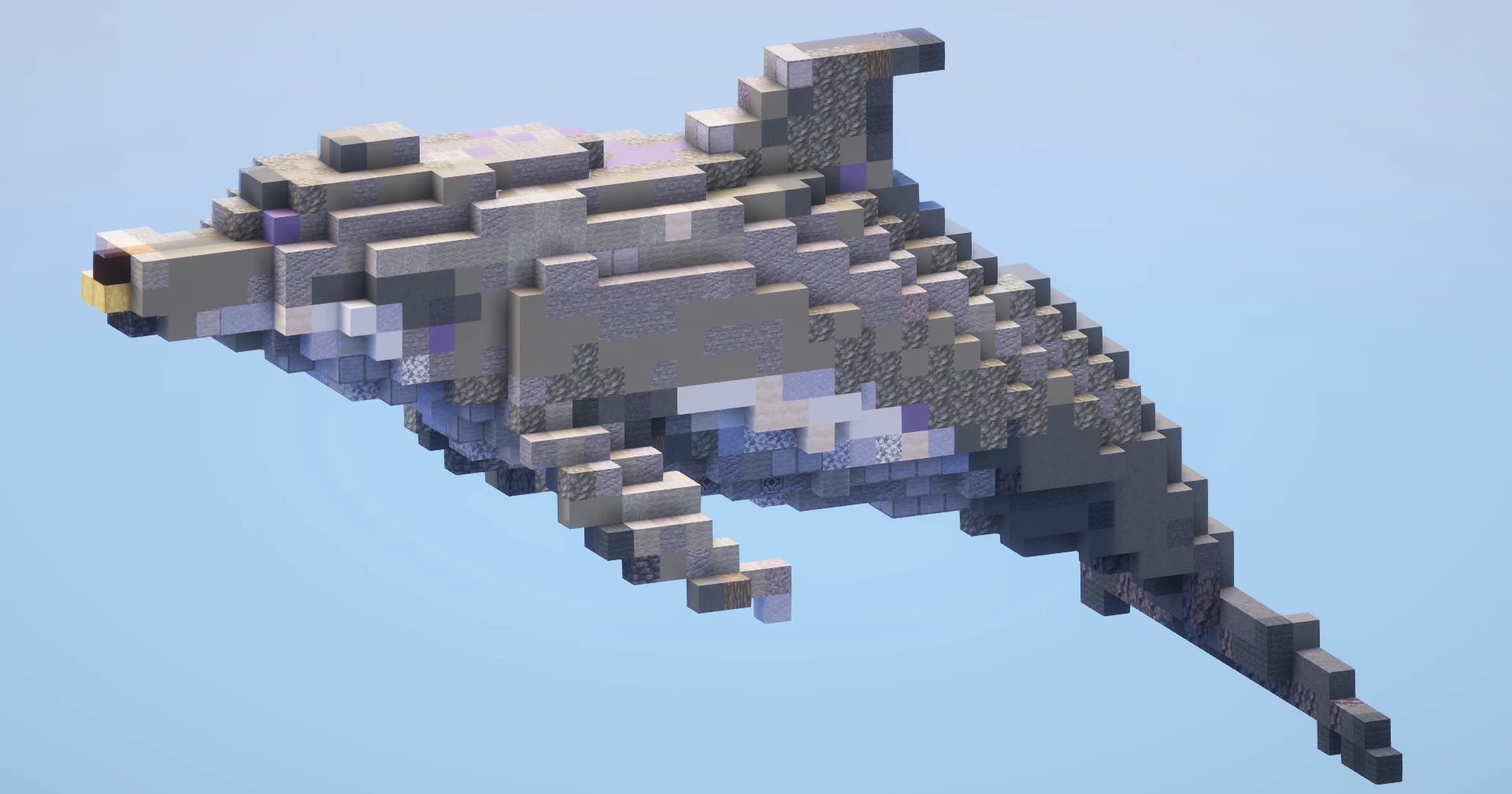 Dolphin Small‎