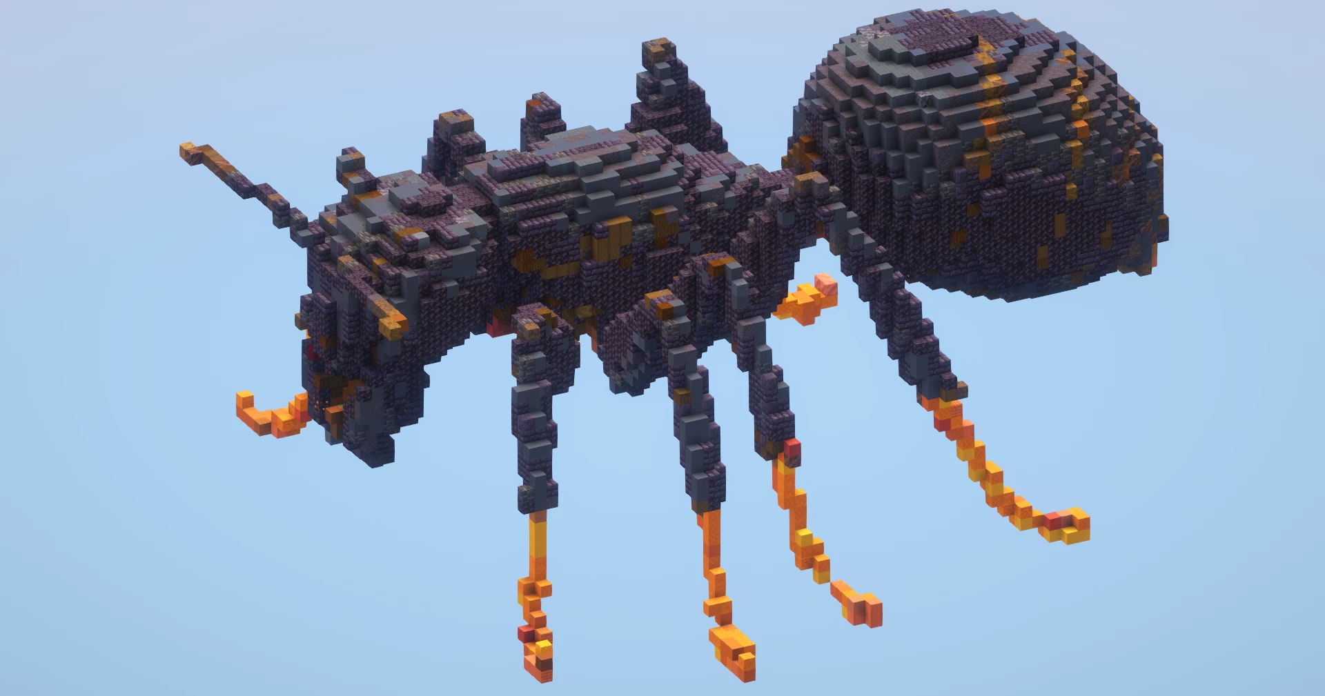 Ant‎