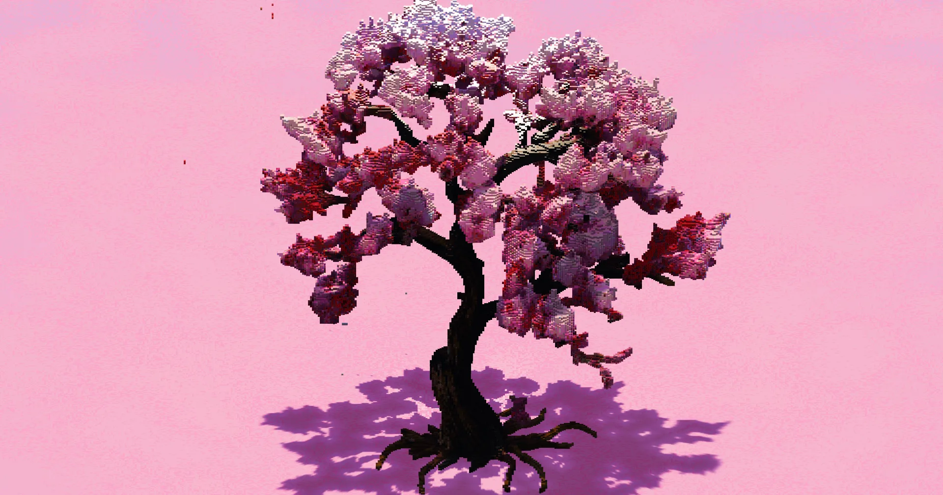 Cherry Blossom Tree