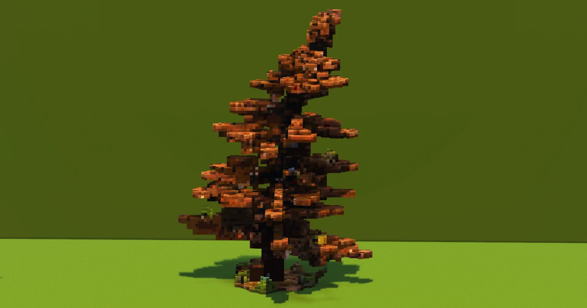 Autumn Tree