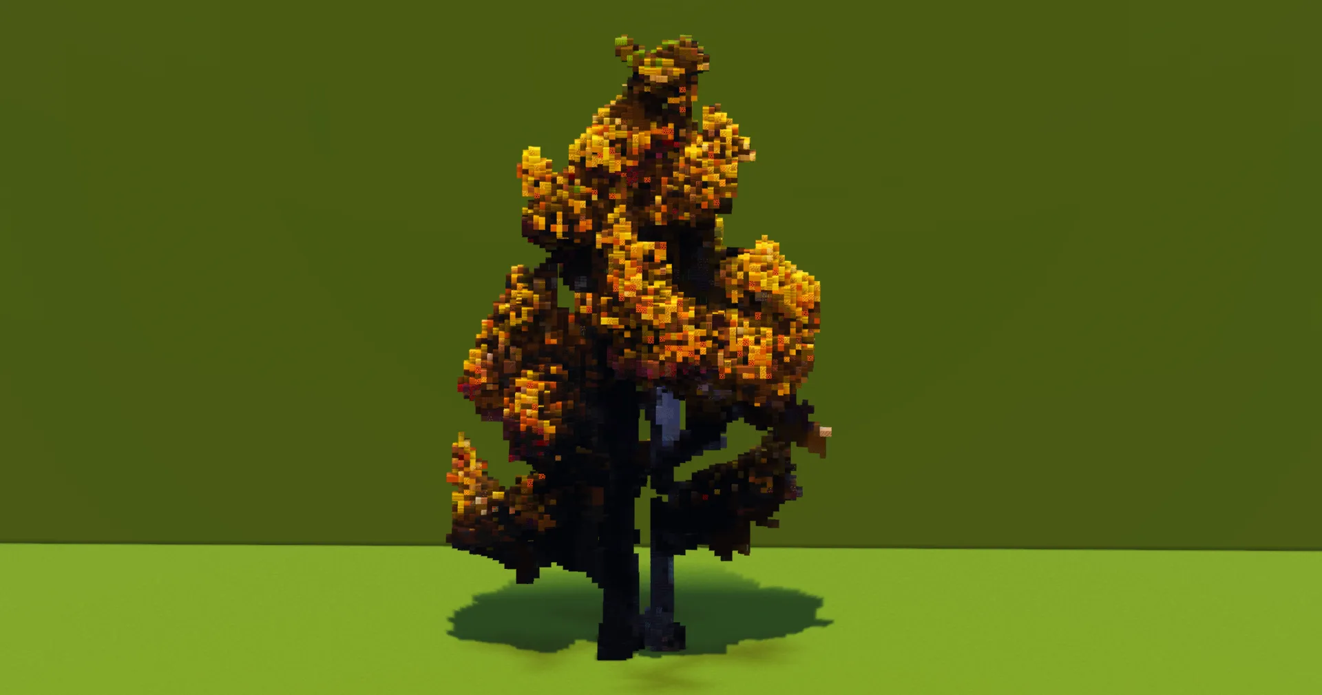 Birch Tree