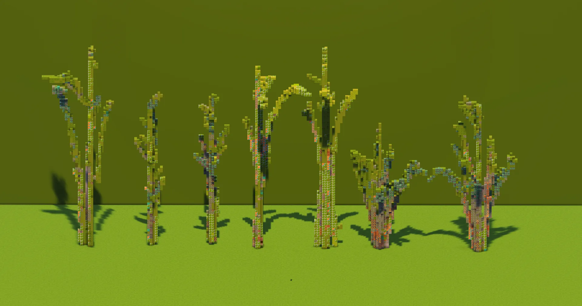 Bamboo Plants Pack