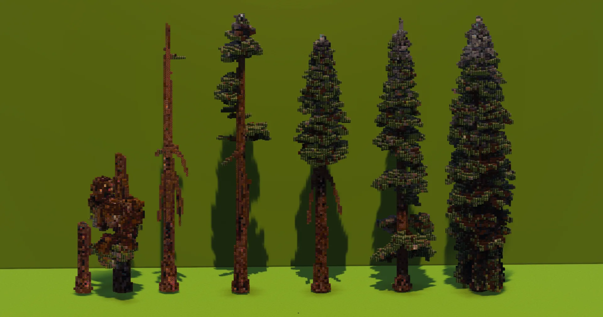 Tall Trees Pack